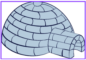 Igloo