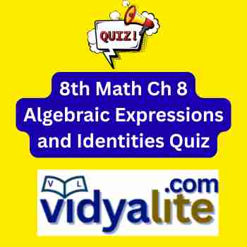 8th Math Ch 8 Algebraic Expressions and Identities Quiz