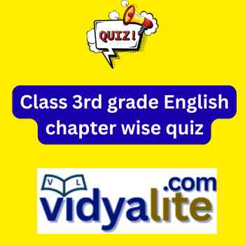 Class 3rd grade English chapter wise quiz