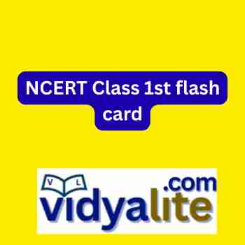 NCERT Class 1st flash card